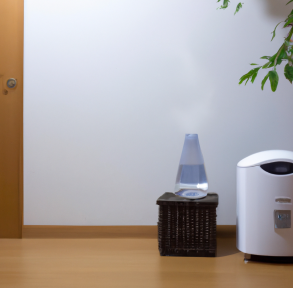 an image of a welcoming room in which we find a dehumidifier and a humidifier