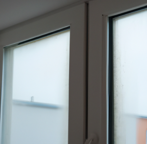 a room in which the atmosphere is charged with moisture, in which we notice mould growth and condensation on the window